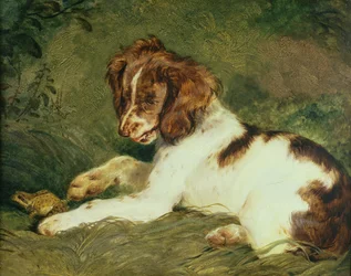 En valp som retar en groda, 1824 (panel)